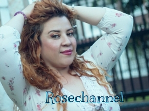 rosechannel Archive DVD BIZ