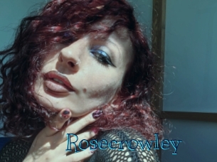 rosecrowley Archive DVD BIZ