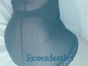 rosesdesiles Archive DVD BIZ