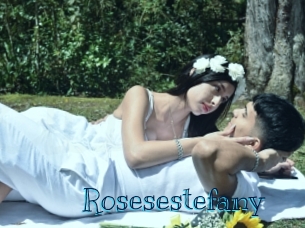 rosesestefany Archive DVD BIZ