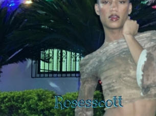 rosesscott Archive DVD BIZ