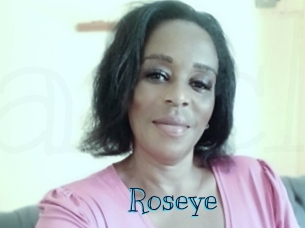 roseye Archive DVD BIZ