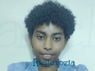 rosiarozia Archive DVD BIZ