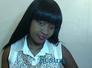 rosina Archive DVD BIZ