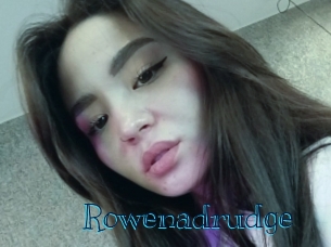 rowenadrudge Archive DVD BIZ