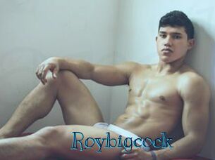 Roybigcock