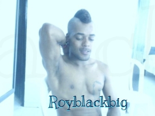 royblackbig Archive DVD BIZ