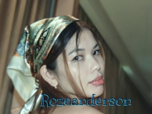 rozeanderson Archive DVD BIZ