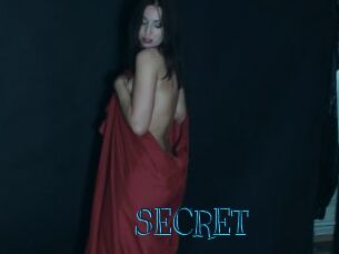 SECRET Archive DVD BIZ