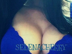 SELENACHERRY Archive DVD BIZ
