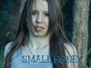 SMALL_HONEY
