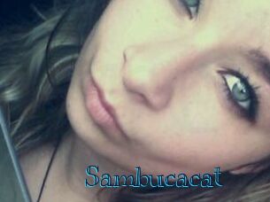 Sambucacat