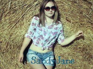 SandyJane Archive DVD BIZ