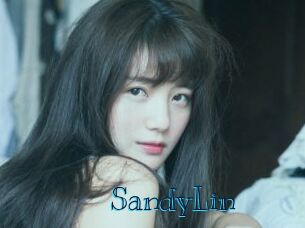 SandyLin Archive DVD BIZ