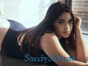 SandySalinas