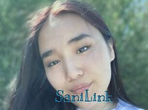 SaniLink