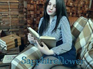 SapphireFlower Archive DVD BIZ