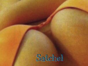 Satchel
