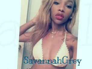 Savannah_Grey