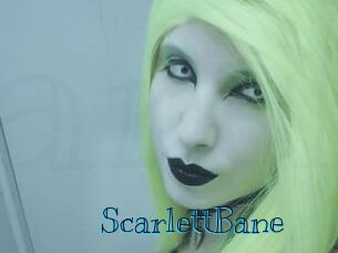 ScarlettBane Archive DVD BIZ