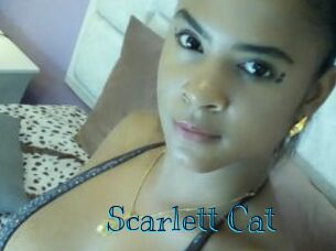 Scarlett_Cat