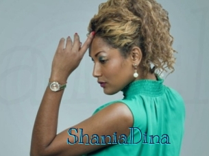 ShaniaDina Archive DVD BIZ