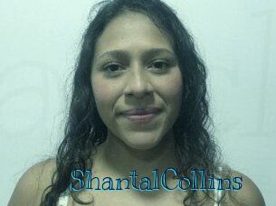 ShantalCollins Archive DVD BIZ