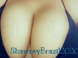 ShawneyBrazil2020