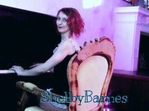 ShelbyBarnes Archive DVD BIZ