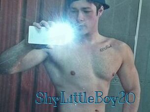 ShyLittleBoy20