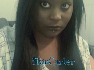 SkieCarter Archive DVD BIZ
