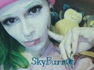 SkyBurrito