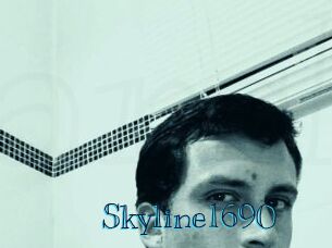 Skyline1690 Archive DVD BIZ