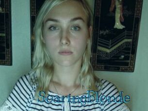 SoaringBlonde