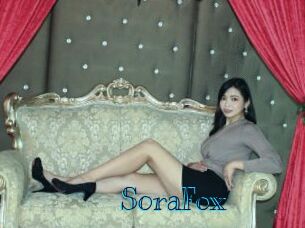 SoraFox Archive DVD BIZ
