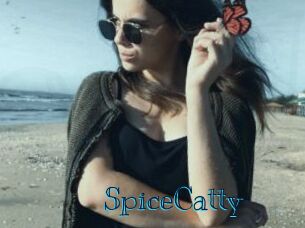 SpiceCatty