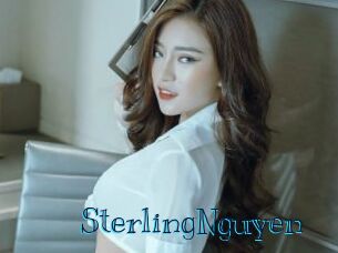SterlingNguyen