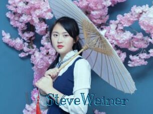 SteveWeiner Archive DVD BIZ