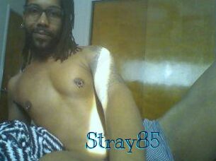 Stray85