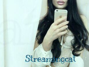 Streamingcat