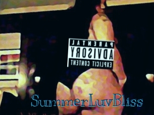 SummerLuvBliss Archive DVD BIZ