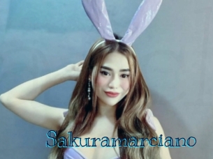 sakuramarciano Archive DVD BIZ