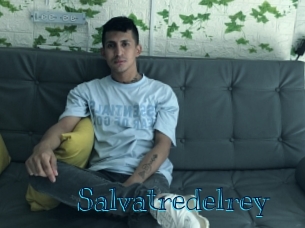 Salvatredelrey