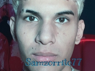 samzorrito77 Archive DVD BIZ