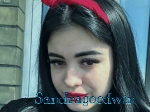 sandragoodwin Archive DVD BIZ