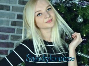 sandybreeze Archive DVD BIZ