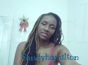 sandyhamilton Archive DVD BIZ