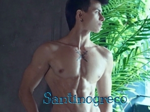 santinogreco Archive DVD BIZ