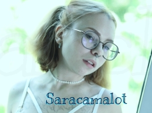 saracamalot Archive DVD BIZ