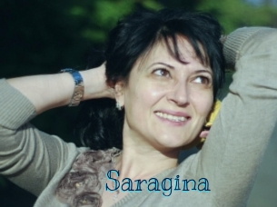saragina Archive DVD BIZ